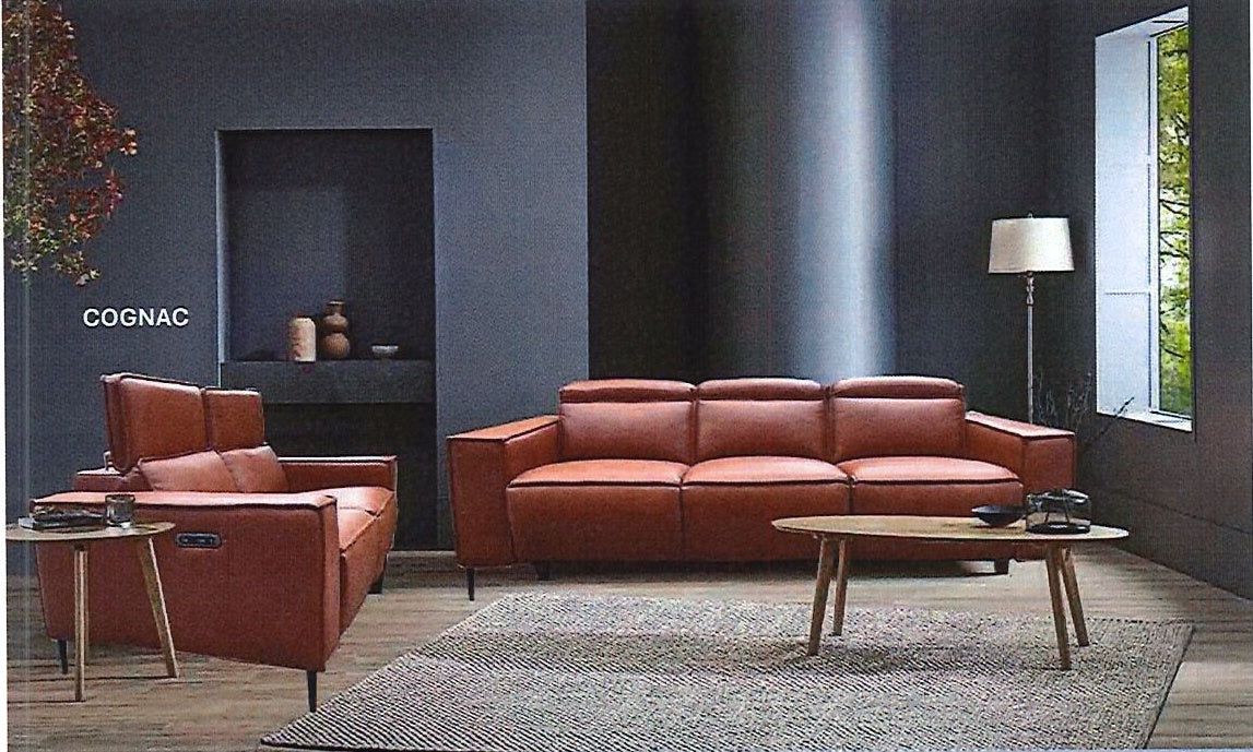 Southport 2 Seater Sofa - Cognac - room